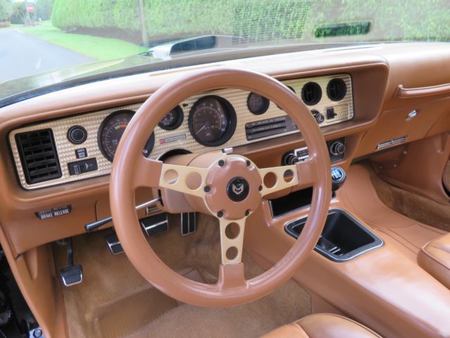 1979 Pontiac Trans Am SE Y84 - photo 10