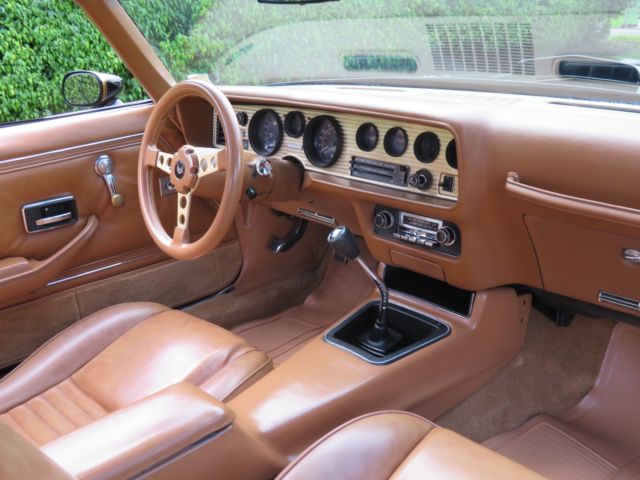 1979 Pontiac Trans Am SE Y84 - photo 11