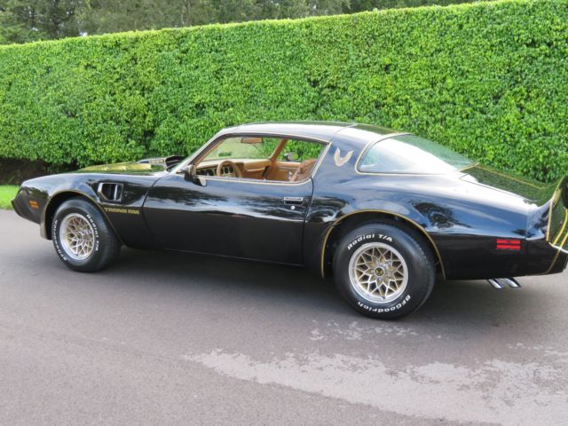 1979 Pontiac Trans Am SE Y84 - photo 2