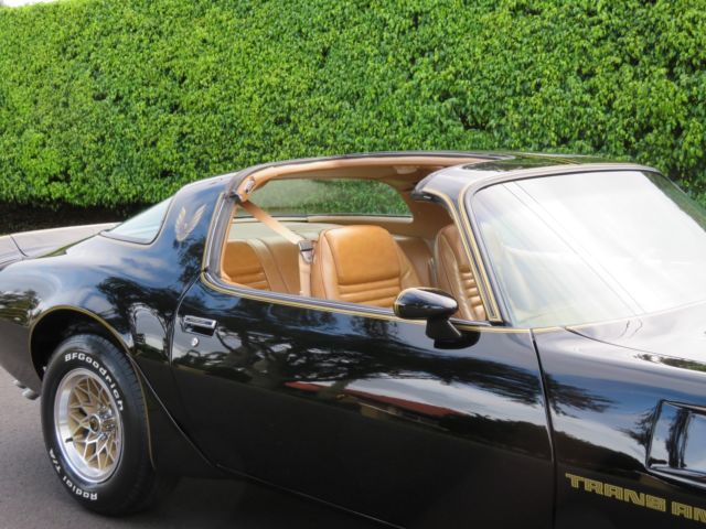 1979 Pontiac Trans Am SE Y84 - photo 7