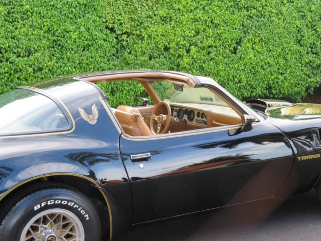 1979 Pontiac Trans Am SE Y84 - photo 8