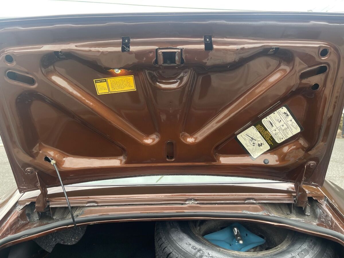 1979 Pontiac Special Edition - photo 11