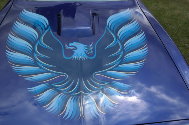 1979 Pontiac Trans Am - photo 12