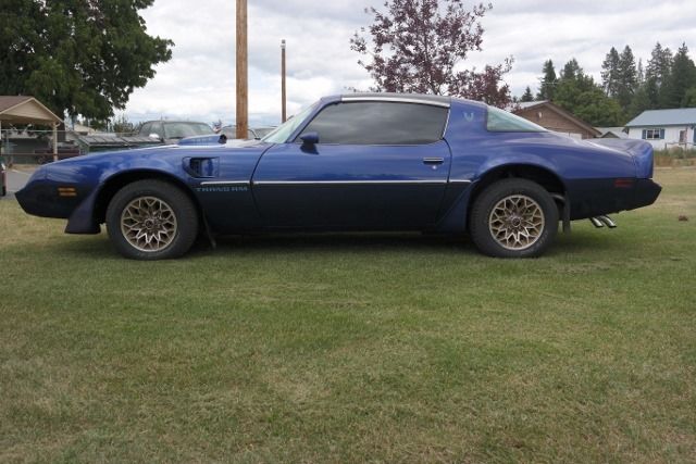 1979 Pontiac Trans Am - photo 2