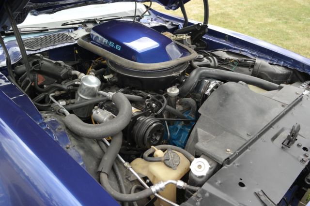 1979 Pontiac Trans Am - photo 5