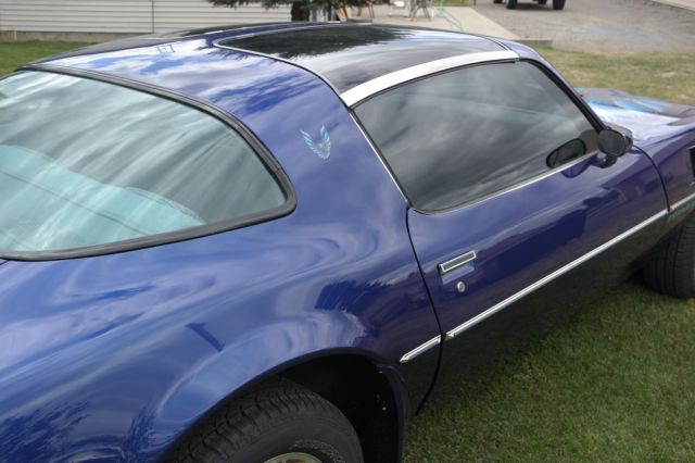 1979 Pontiac Trans Am - photo 3