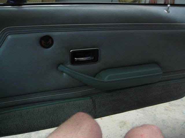 1979 Pontiac Trans Am - photo 9