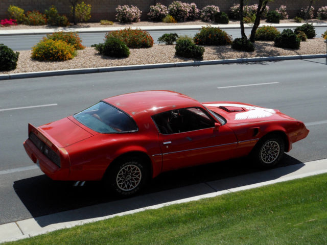1979 Pontiac Trans Am NO RESERVE - photo 12