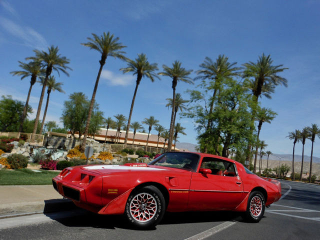 1979 Pontiac Trans Am NO RESERVE - photo 4