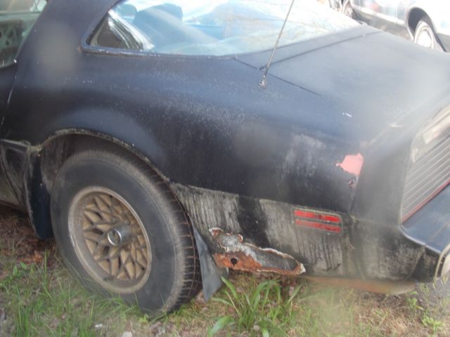 1979 Pontiac Trans Am - photo 11