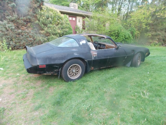 1979 Pontiac Trans Am - photo 2