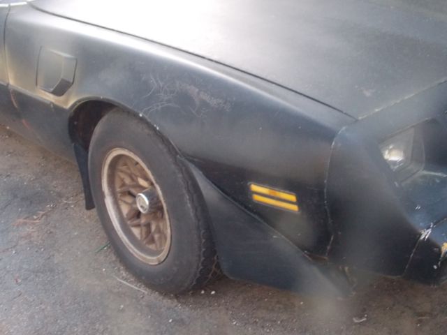 1979 Pontiac Trans Am - photo 4