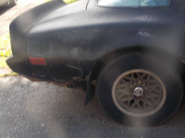 1979 Pontiac Trans Am - photo 5