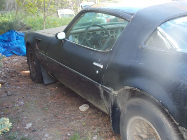 1979 Pontiac Trans Am - photo 7