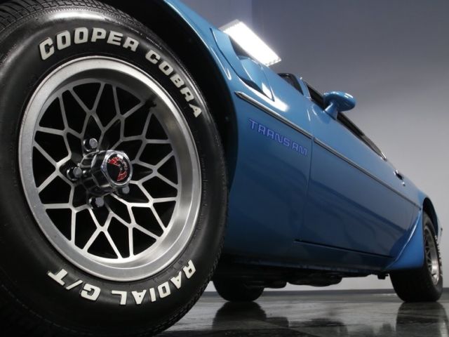 1979 Pontiac Trans Am -- - photo 11