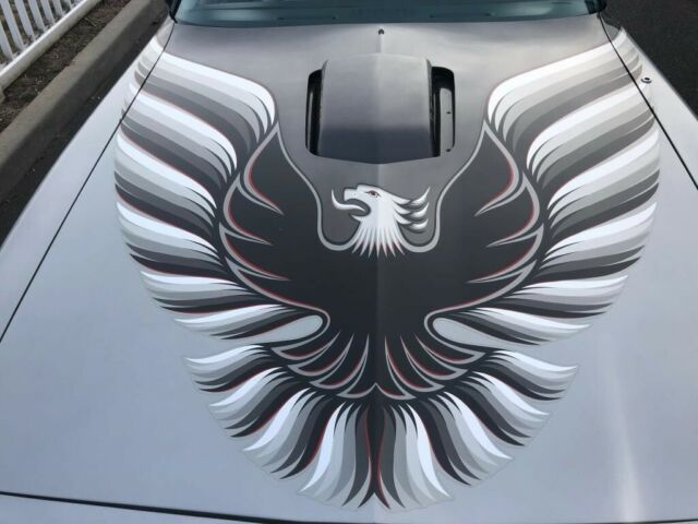 1979 Pontiac Trans Am -- - photo 9