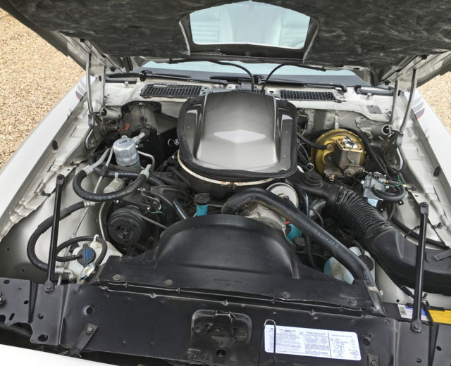 1979 Pontiac Trans Am SPECIAL EDITION - photo 10