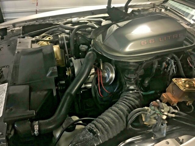 1979 Pontiac Trans Am 10th Anniversary - photo 11