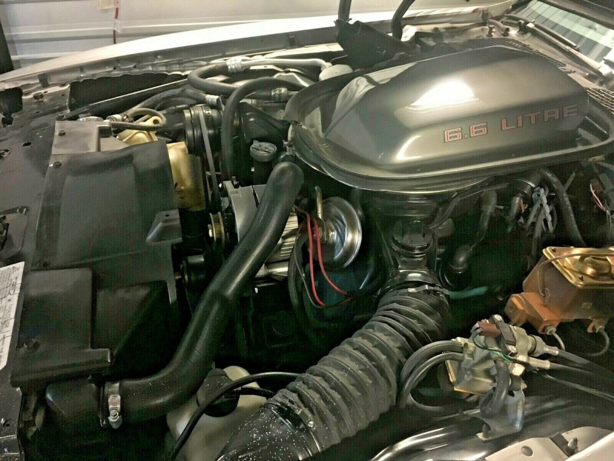 1979 Pontiac Trans Am 10th Anniversary - photo 10