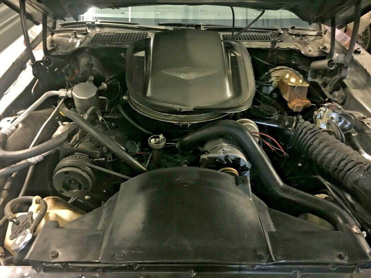 1979 Pontiac Trans Am 10th Anniversary - photo 11