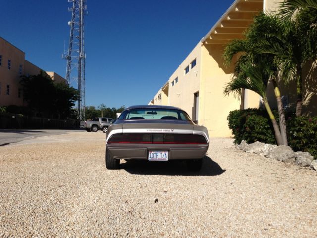 1979 Pontiac Trans Am 10th Anniversary 400, 4-speed 1 of 1817 NO RESERVE! 1979 Pontiac Trans Am Trasns Am 10th Anniversary