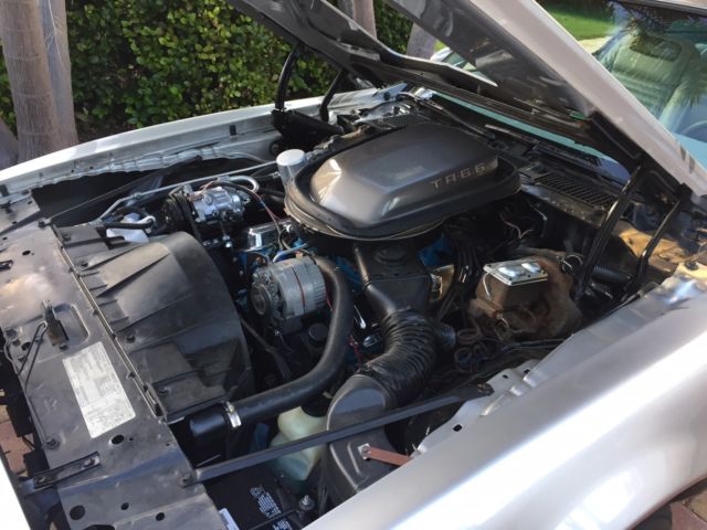 1979 Pontiac Trans Am Trasns Am 10th Anniversary - photo 7