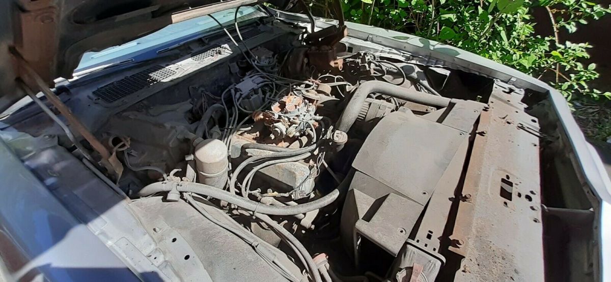 1979 Pontiac Trans Am - photo 5
