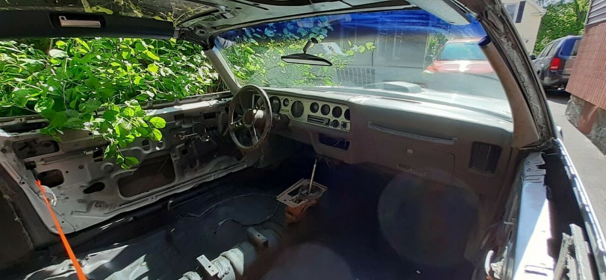 1979 Pontiac Trans Am - photo 6