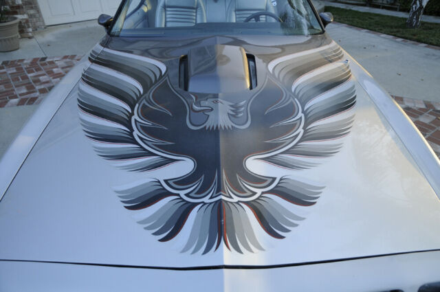 1979 Pontiac Trans Am 10th Anniversary - photo 3