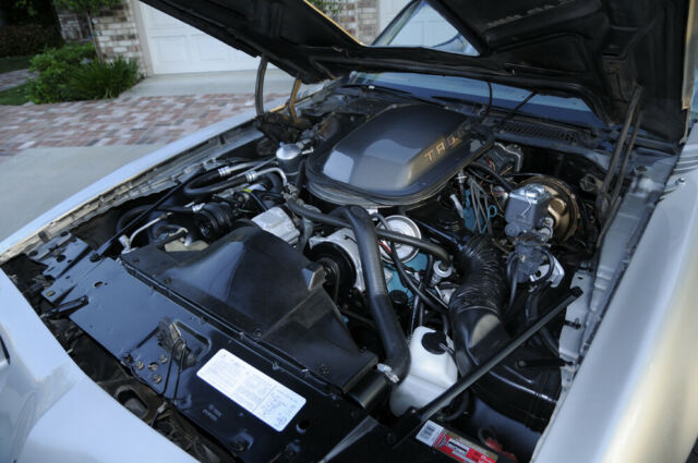 1979 Pontiac Trans Am 10th Anniversary - photo 6