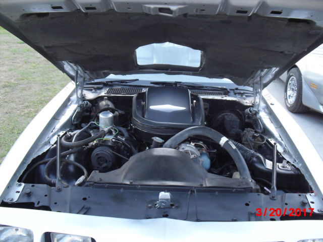 1979 Pontiac Trans Am 10th Anniversary Special Edition - photo 10