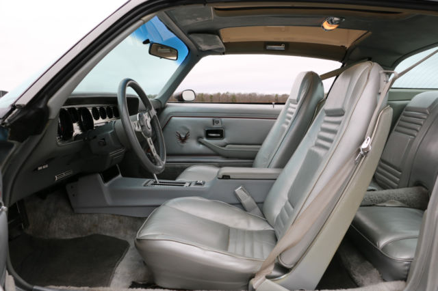 1979 Pontiac Trans Am 10th Anniversary Survivor - photo 5