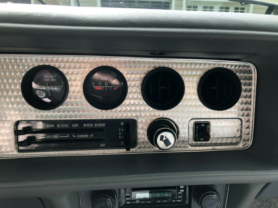 1979 Pontiac Trans Am 10th Anniversary - photo 11