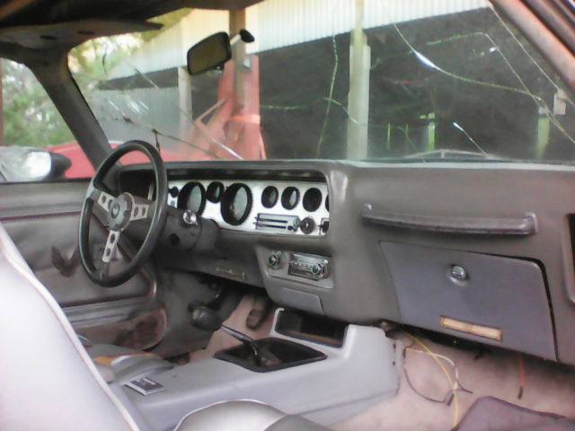1979 Pontiac Trans Am - photo 13