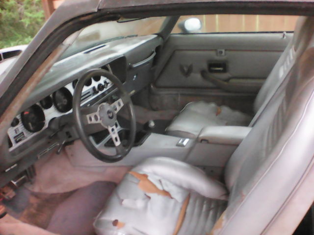 1979 Pontiac Trans Am - photo 11