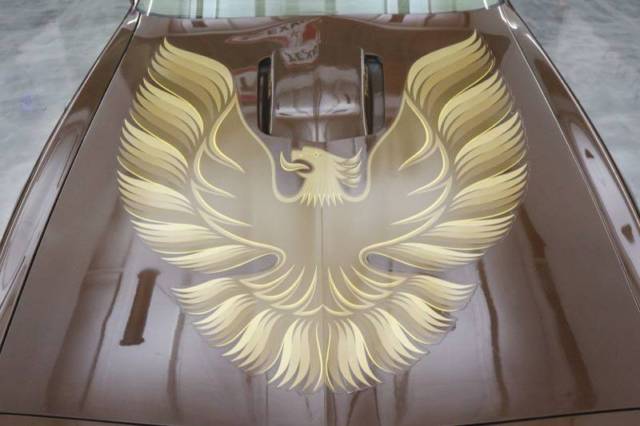 1979 Pontiac Trans Am -- - photo 11