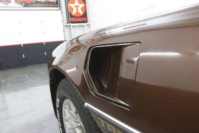 1979 Pontiac Trans Am -- - photo 13