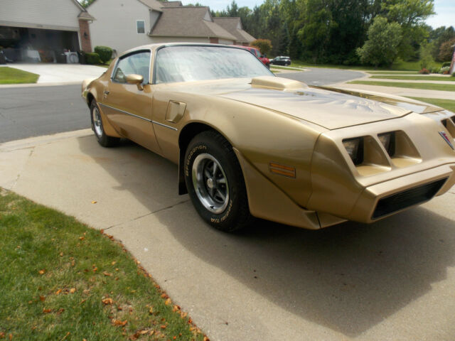 1979 Pontiac Trans Am Trans Am Gold Bird - photo 10