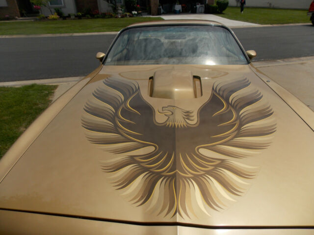 1979 Pontiac Trans Am Trans Am Gold Bird - photo 11