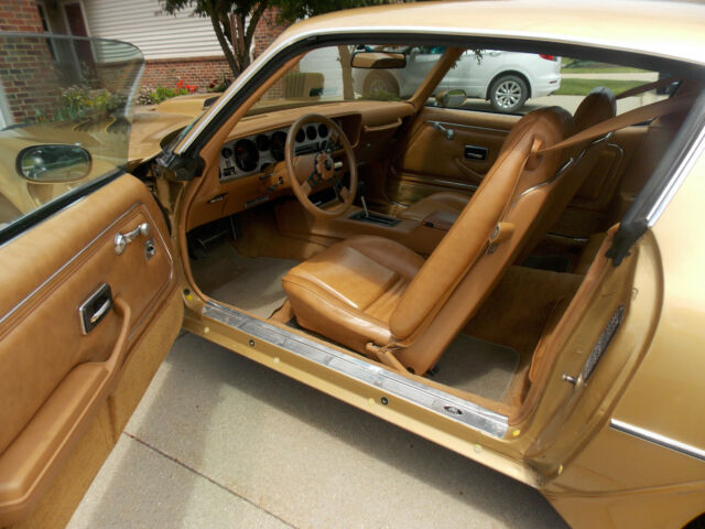 1979 Pontiac Trans Am Trans Am Gold Bird - photo 12