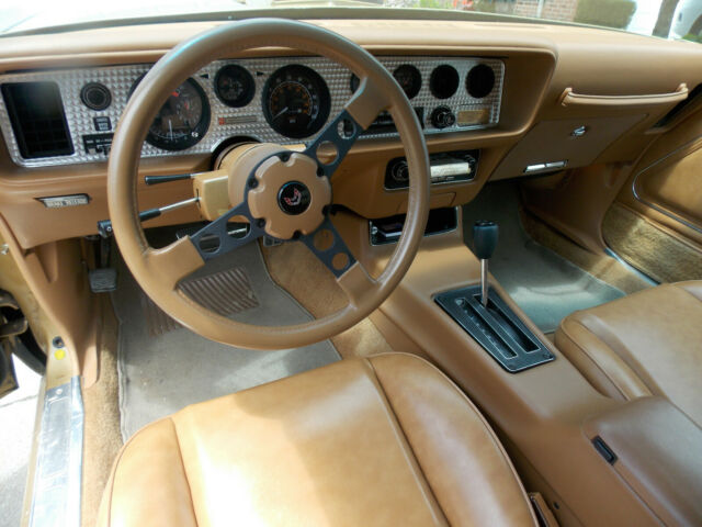 1979 Pontiac Trans Am Trans Am Gold Bird - photo 13