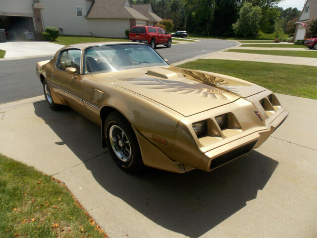 1979 Pontiac Trans Am Trans Am Gold Bird - photo 2