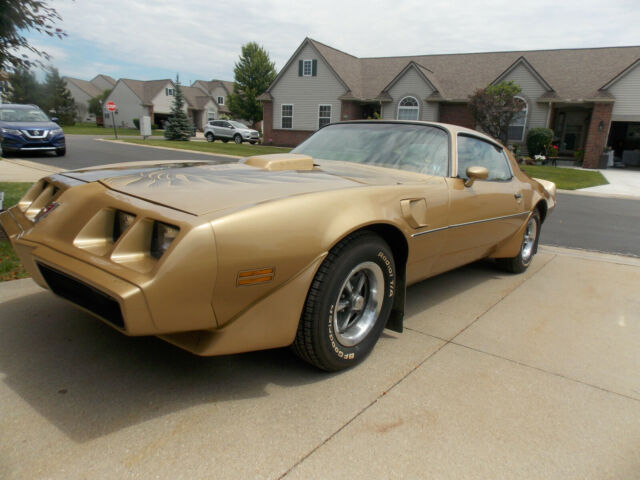 1979 Pontiac Trans Am Trans Am Gold Bird - photo 4
