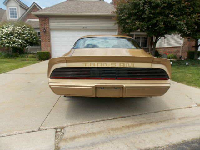 1979 Pontiac Trans Am Trans Am Gold Bird - photo 6