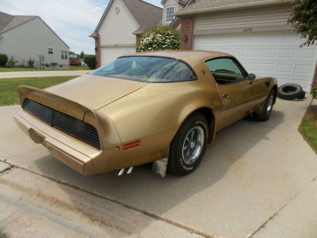 1979 Pontiac Trans Am Trans Am Gold Bird - photo 7