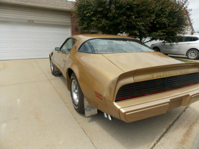 1979 Pontiac Trans Am Trans Am Gold Bird - photo 8
