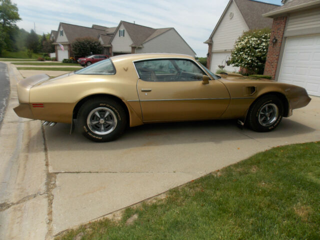 1979 Pontiac Trans Am Trans Am Gold Bird - photo 9