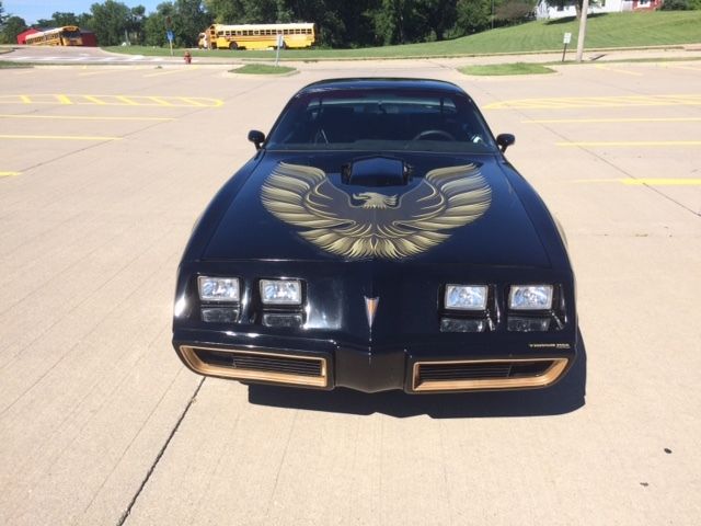 1979 Pontiac Trans Am WS6 - photo 10