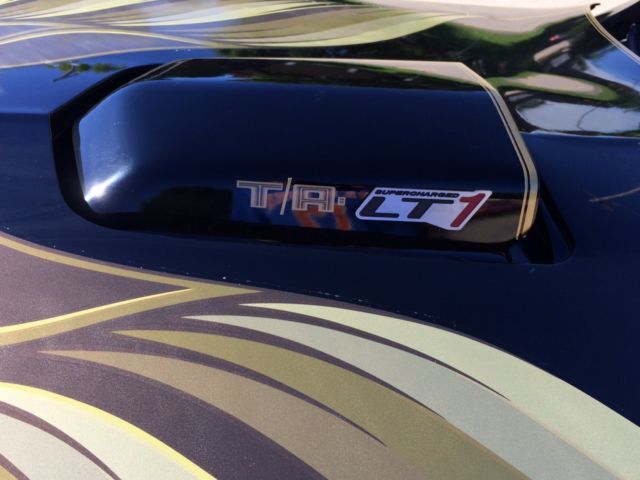 1979 Pontiac Trans Am WS6 - photo 12