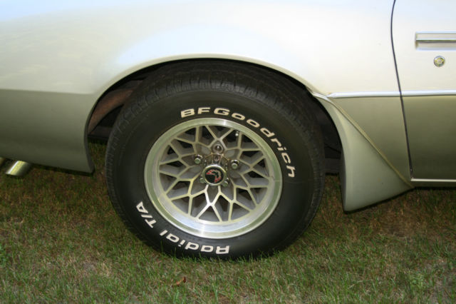 1979 Pontiac Firebird Trans AM - photo 10